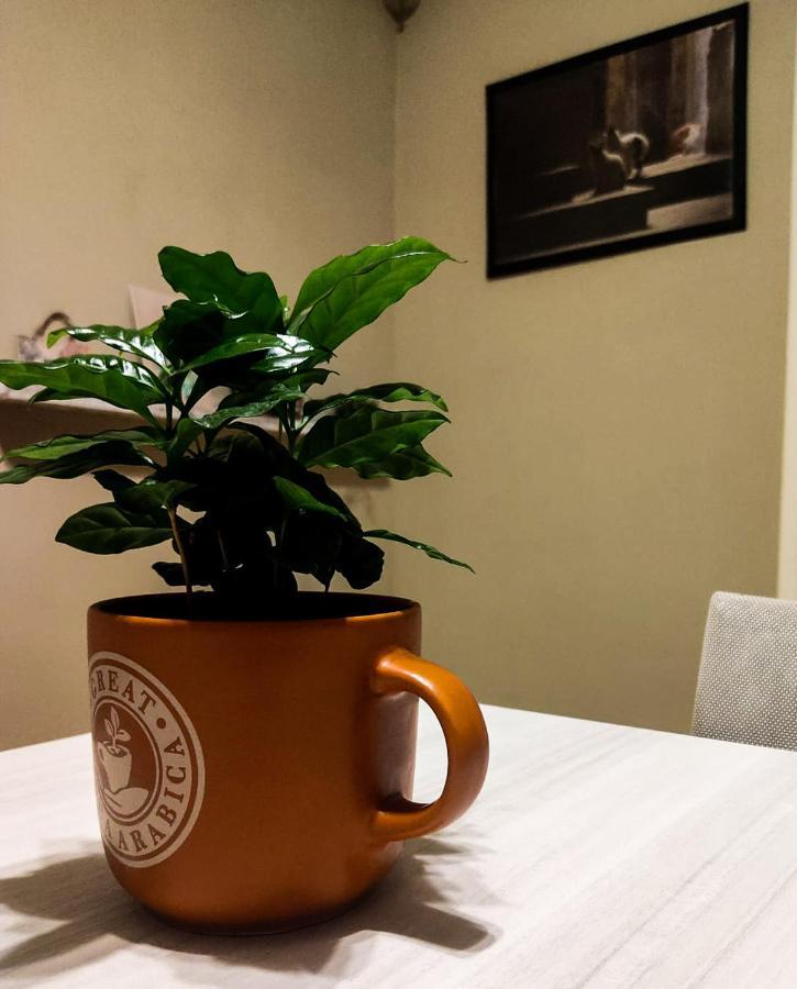 Couette-café Ament's Syracuse